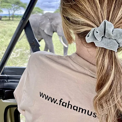 Elefanten beobachten